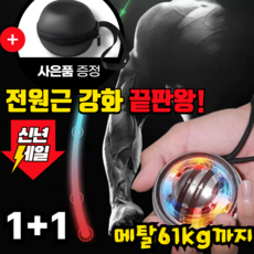 [고급 케이스 증정]메탈 크립볼 정원근 상완요골근 강화 트레이닝 자이로볼 61KG까지, 2개, 블랙
