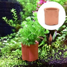 팔각 수초 토분 [1개], 1개