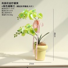 【甜蜜cosmetics】陌歌仿真蝴蝶蘭小盆栽 客廳餐桌假花擺設 北歐風手感風信子花藝擺件, 1個, 套餐2