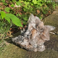 2025土桑精選:瑞士水晶共生綠泥石及金雲母25-1號