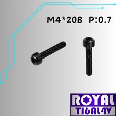【瘋螺絲】ROYAL 鈦合金螺絲 M4*20B P:0.7 錐形螺絲 出貨附發票 四色可選, 1個, 帝王黑