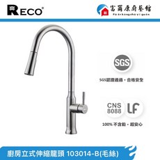 富爾康 Riss芮絲系列 廚房伸縮龍頭(103014-B) 伸縮自如 清潔無死角 提升廚房品味, 1個, RECO伸縮龍頭103014-B毛絲