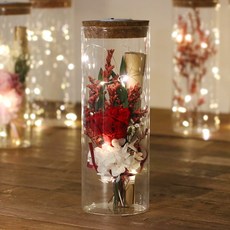 LED 유리병 프리저브드 카네이션 꽃다발 편지지 세트, 레드