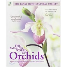 The Amazing World of Orchids, QUADRILLE