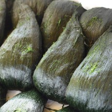 완도명가 매생이 350gx10, 10개