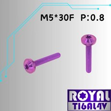 ROYAL TIGALAY M5*30F P:0.8 飛碟頭螺絲, 1個