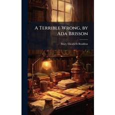 (英文圖書)A Terrible Wrong by Ada Brisson 精裝版, Hutson Street Press, 英文