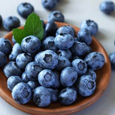 푸드마실 생 블루베리, 1박스, 왕특 (18mm/125g) 2팩