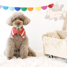 참깨샵 애견 폼폼스카프 레드 강아지케이프