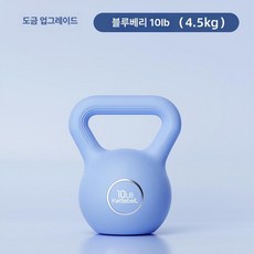 여성용 케틀벨 4.5kg 홈트 운동기구 전신 장비 덤벨, 1개, 1g, 10LB 블루베리