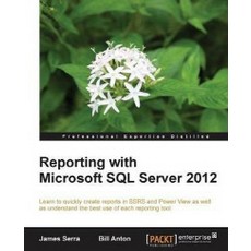 Reporting with Microsoft SQL Server 2012, Packt Publishing