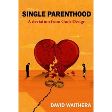 (영문도서)Single Parenthood: A deviation from Gods design Paperback