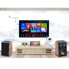목재 스피커 우퍼 고음 홈 노래 오디오 피버 패시브 책장 4ohm KTV 8/10 인치 200W, 02 8 inch
