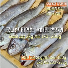 [산지직송] 국내산 자연산 남해 손질 백조기 2300g 손질후급냉 2000g(개댱 170~200g). 2000g(개당 120~140g). 2000g(개당 230~250g) 1스, 1박스, 손질후급냉 2000g (개댱 170~200g)