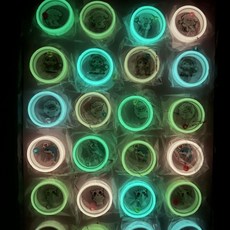 夜光多彩粘球球膠帶 黏黏球懷舊玩具, 1個, 夜光 粘球膠帶 包裝不斷更新 ,整板24個