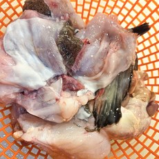 국내산 생아귀 생아구 안키모 생물 아귀간 손질아귀 아귀 찜 탕 수육, 1개, 손질 1kg