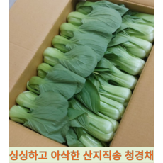 [국내산] 싱싱하고 신선한 아삭아삭 산지직송 청경채 샤브샤브 마라탕, 2개, 4kg
