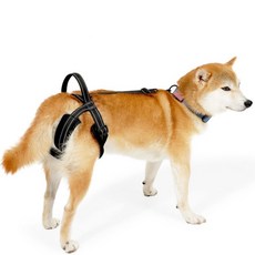 【多寵宇宙】寵物輔助帶 老犬狗助行器 狗狗輔助帶 寵物輔助 狗輔助帶