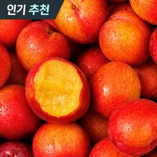 제철 자두 대석 후무사 도담 추희, 1박스, 1kg