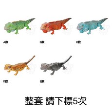 BANDAI 生物大圖鑑 美洲鬣蜥與睫角守宮 轉蛋 扭蛋 模型 全5款, 1個, 整套(金額780，下X5) 2I242