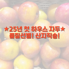 [품질선별] 제철 자두 하우스 대석 후무사 로얄과, 1박스, 1kg
