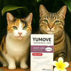 YUMOVE 優骼服 超強版360貓用關節保健品60顆 提升關節靈活度 舒緩關節不適 維持軟骨健康, 1個
