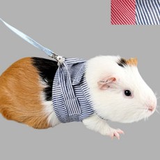 소동물 햄스터 기니피그 하네스 가슴줄 줄무늬 리드줄 애완동물 펫 악세서리, 블루 L, 1개, 블루 L
