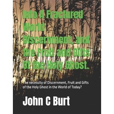 (英文圖書)Into A Fractured World Discernment and the Fruit and Gifts Of the Holy Ghost.:... 平裝版, Independently Published, 英文
