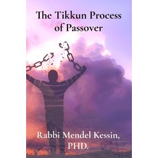 (영문도서)The Tikkun Process of Passover Paperback, Power Jews, English, 9798349651922