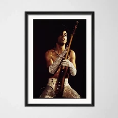 프린스 로저스 넬슨 블랙 화이트 록 음악 가수 스타 아트 캔버스 페인팅 포스터 벽 홈 장식, 01 30x40cm No Frame, 04 5