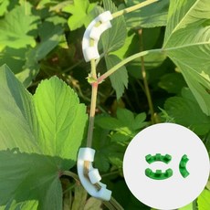 식물유인핀 원예 줄기 유인기 레드 10p