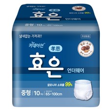 효은 성인용기저귀 요실금 팬티기저귀 언더웨어 중형 (10매 X 8팩), 8개, 10개입