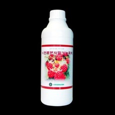 복분자딸기농축액300g, 1개, 300g, 1개입