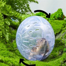 브릭스톤즈 햄스터 다이어트볼 햄스터투명볼