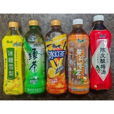 천구중국식품 캉스푸 5가지맛 3개씩 혼합음료수 (1박스 500ml*15개입), 15개, 500ml