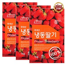 [현대프리마켓] 시아스 국내산 냉동 딸기 1kg x 3개 + 드라이아이스 1개