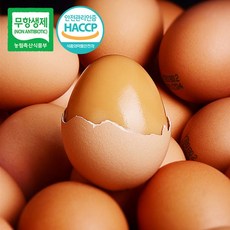 [무항생제/HACCP] 어린닭이 낳아 신선한 구운계란 60구[2판], 1개