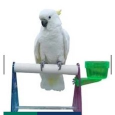 金瑞成鳥園 可攜式調節棲木架 9折優惠中 適合各種鳥種尺寸 鳥寶互動, 1個, 小尺寸