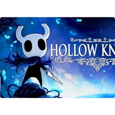 空洞騎士丨Hollow Knight, 1個