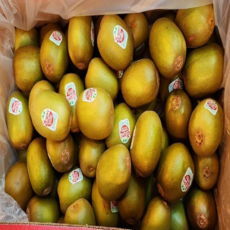 특 프리미엄 고당도 제스프리 뉴질랜드 루비레드키위 2kg(21~25과내외) 5kg(56~60과내외) 레드키위 루비골드키위 루비키위 당도선별출고 그린키위 골드키위(og), 1개, 대2kg