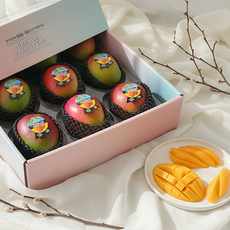 [망고성지] 항공직송 고당도 애플망고 선물세트 당도선별, 1박스, 항공직송 애플망고 9과 (4KG내외)