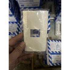 國際星光系列 單孔蓋板 WTDF6801W (含稅), 1個