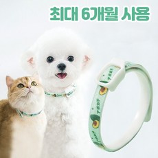 반려사이 강아지 진드기 퇴치제 목걸이 6개월 지속 고양이, M (8kg~20kg)