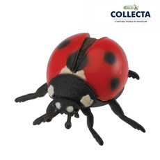 컬렉타 무당벌레 88474, 1개