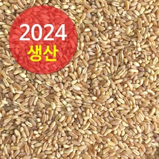 튀르키예 수입 호라산밀 500g (2024년산), 1개