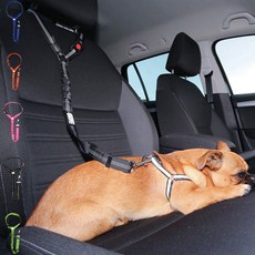 반려견 차량용 외출용품 목줄형 안전고정벨트, 블랙