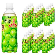 미츠야 엑스트라 리치 머스캣 스쿼시 페트, 24개, 500ml