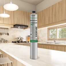 EVERPURE MC-2濾心/濾芯 (原裝進口) 美國黑水保固, 1個, 單入裝(售出無保固, 單入裝(售出無保固