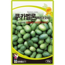 세계종묘 쿠카멜론 오이씨앗 10립 멕시코 오이씨 종자, 1개