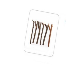 모두상회 미술 조각 자작나무, 6개, 브라운, 브라운계열